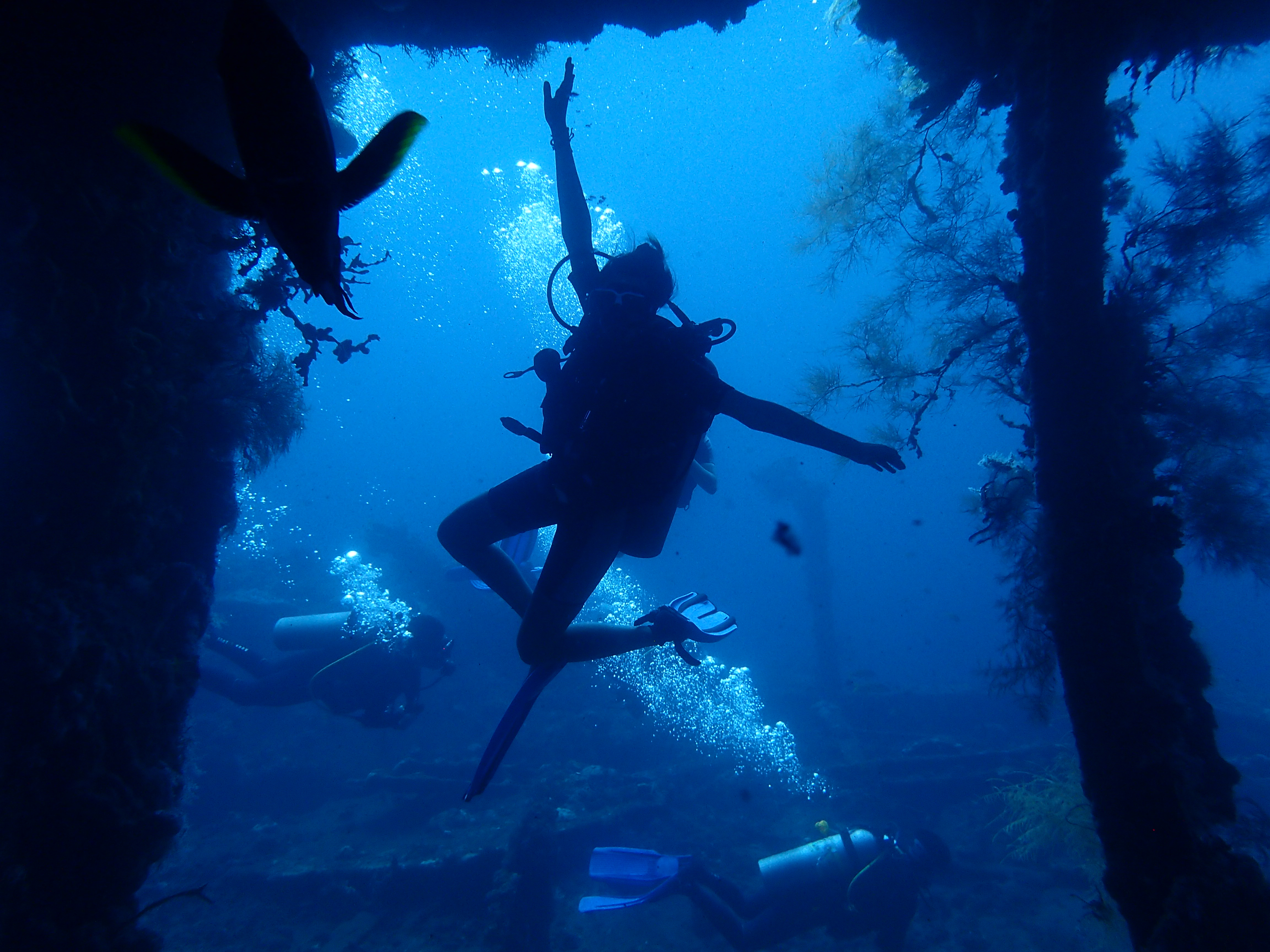 Scuba Diver in the cargo room of the USAT Liberty wreck in Tulambem